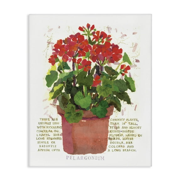 Stupell Industries Red Potted Geranium Botanical & Floral Painting Gallery Wrapped Canvas Art Print Wall Art, 16 x 20