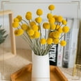 thumbnail image 2 of Triani 30 Stems Natural Dried Flower Natural Craspedia Billy Balls Flowers 0.39-1.57" Large Diameter Billy Buttons Floral Bouquet Real Freshly Harvested Dry Plant Arrangements Decorate, 2 of 7