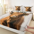 thumbnail image 3 of jejeloiu Rustic Western Farmhouse Bed Sheets,Farm Highland Cattle King Sheets,Brown Gray Sheet Set For Kids,Breathable Home Decor,4 Pieces, 3 of 7