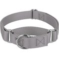 thumbnail image 1 of HSHDLDF Silver Martingale Heavy Duty Nylon Dog Collar 21 Vibrant Color Options (3/4 Inch Width, Small), 1 of 6