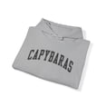 thumbnail image 4 of Capybara Hoodie Gifts Hooded Sweatshirt Pullover Shirt, 4 of 4