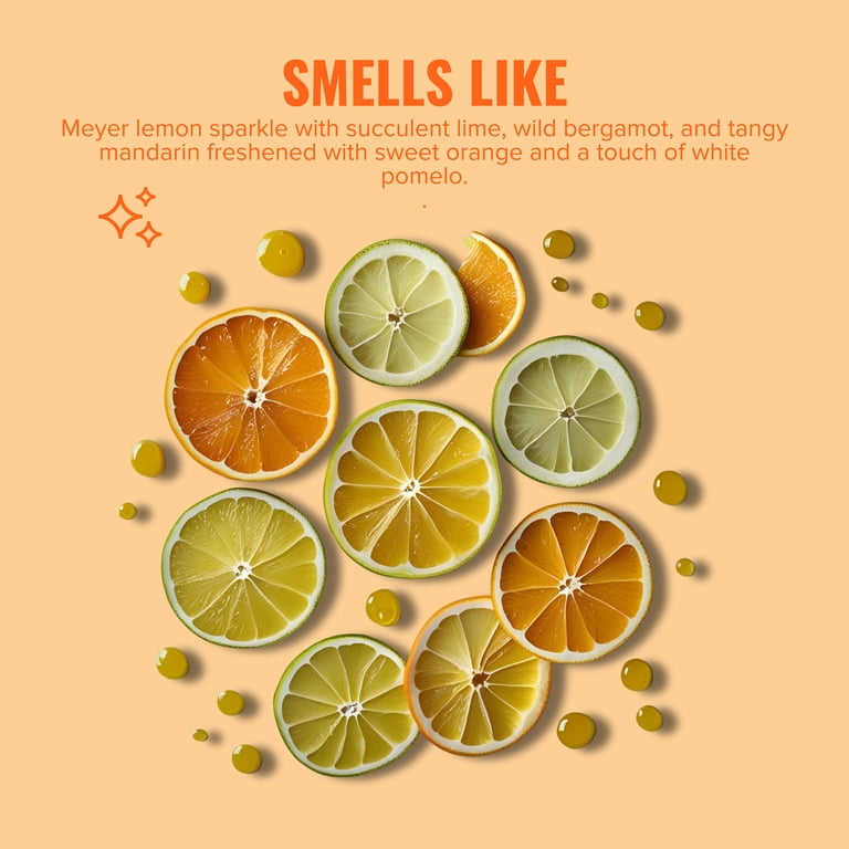 3 pack) Citrus Magic For Closets Odor Absorbing Solid Air