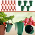 thumbnail image 1 of Apmemiss Clearance Strawberry Box Transplanter Tray Strawberry Creeping Rooting Basin Balcony Strawberry Planting Cup, 1 of 9