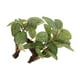 thumbnail image 5 of 2 piezas de plantas de adorno de acuario artificial, plantas de resina para en hogar, agua de salada, agua dulce, decoración de pecer, 5 of 9