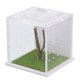 thumbnail image 2 of Caja transparente para arañas, hábitat para arañas saltarinas, caja acrílica para insectos, jaula acrílica para arañas saltarinas, caja de alimentación, contenedor para arañas insectos, 2 of 8