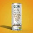 thumbnail image 5 of MycoBev Kiwi Mango Sparkling Water, 2000mg Mushroom Blend, 6-pack, 5 of 5