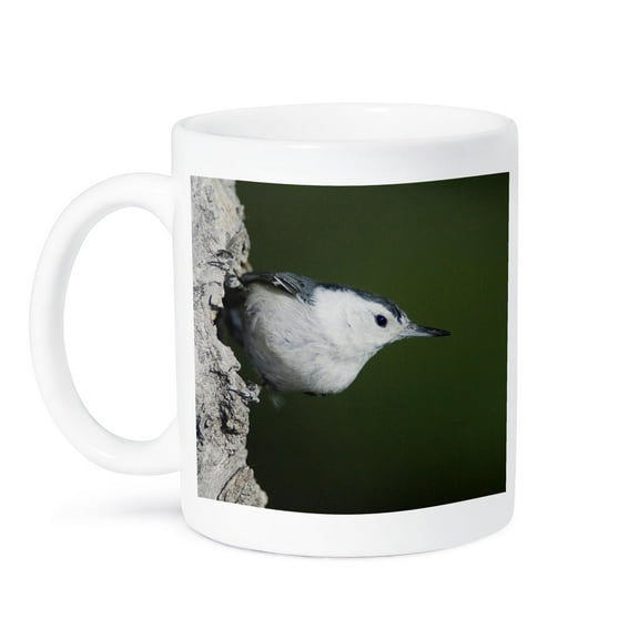 3dRose, White-breasted Nuthatch bird, Rocky Mountain NP - NA02 RNU0826 - Rolf Nussbaumer, 15oz Mug