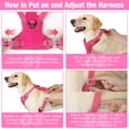 thumbnail image 3 of Jewyow No Pull Dog Harness - Dog harness for small dogs,Reflective Adjustable Pet Vest with Handle & Breathable Mesh,Pink, XS, 3 of 9