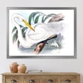thumbnail image 3 of Designart 'Ancient Australian Birds IV' Traditional Framed Art Print, 3 of 4