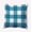 Unreal Teal, variant on 16" x 16" Simply Daisy Buffalo Plaid Polyester Indoor/Outdoor Pillow, Unreal Teal Qty 1