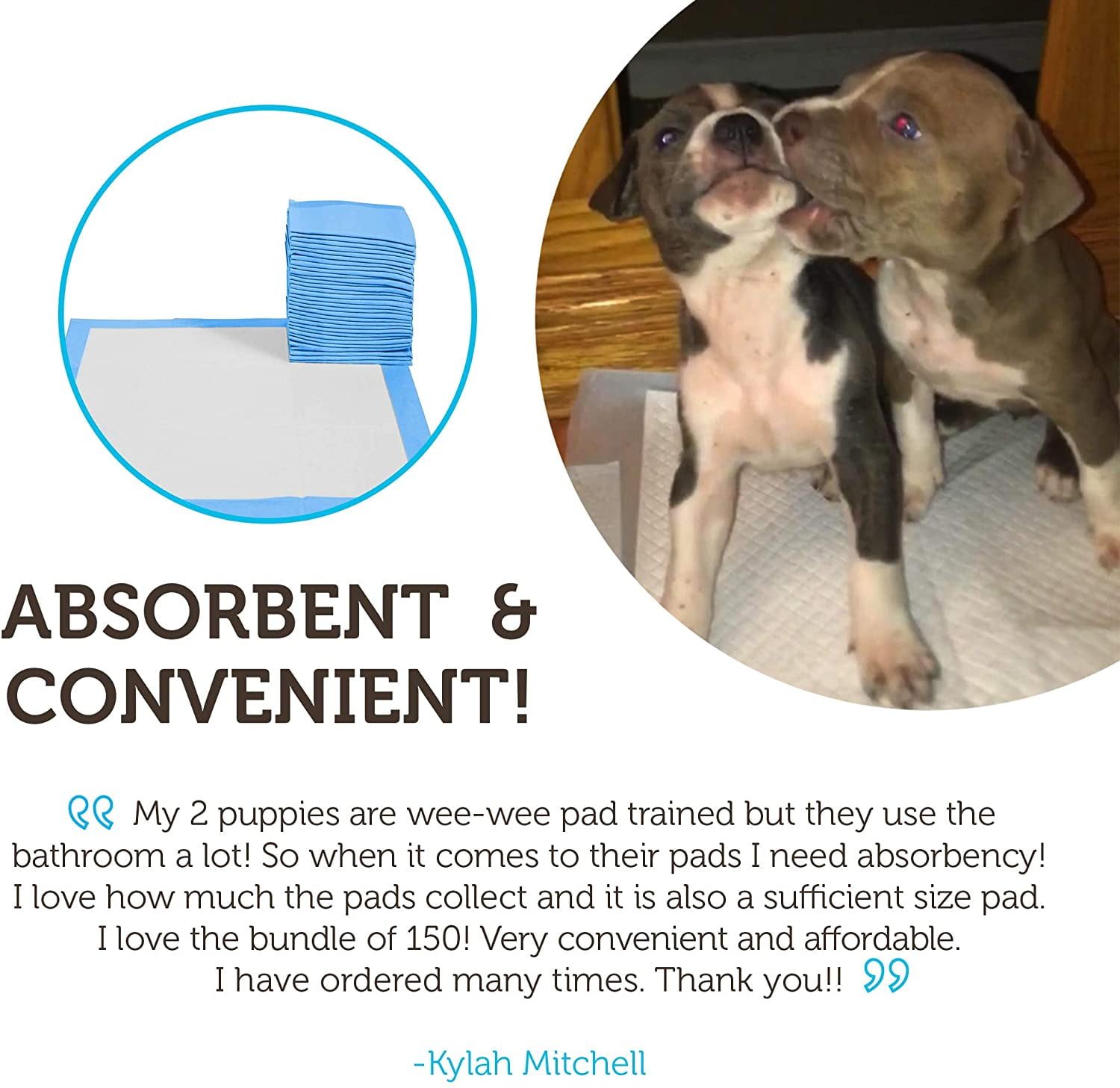 Leak-Proof Potty Training Pee Pads for Dogs and Puppies, Large