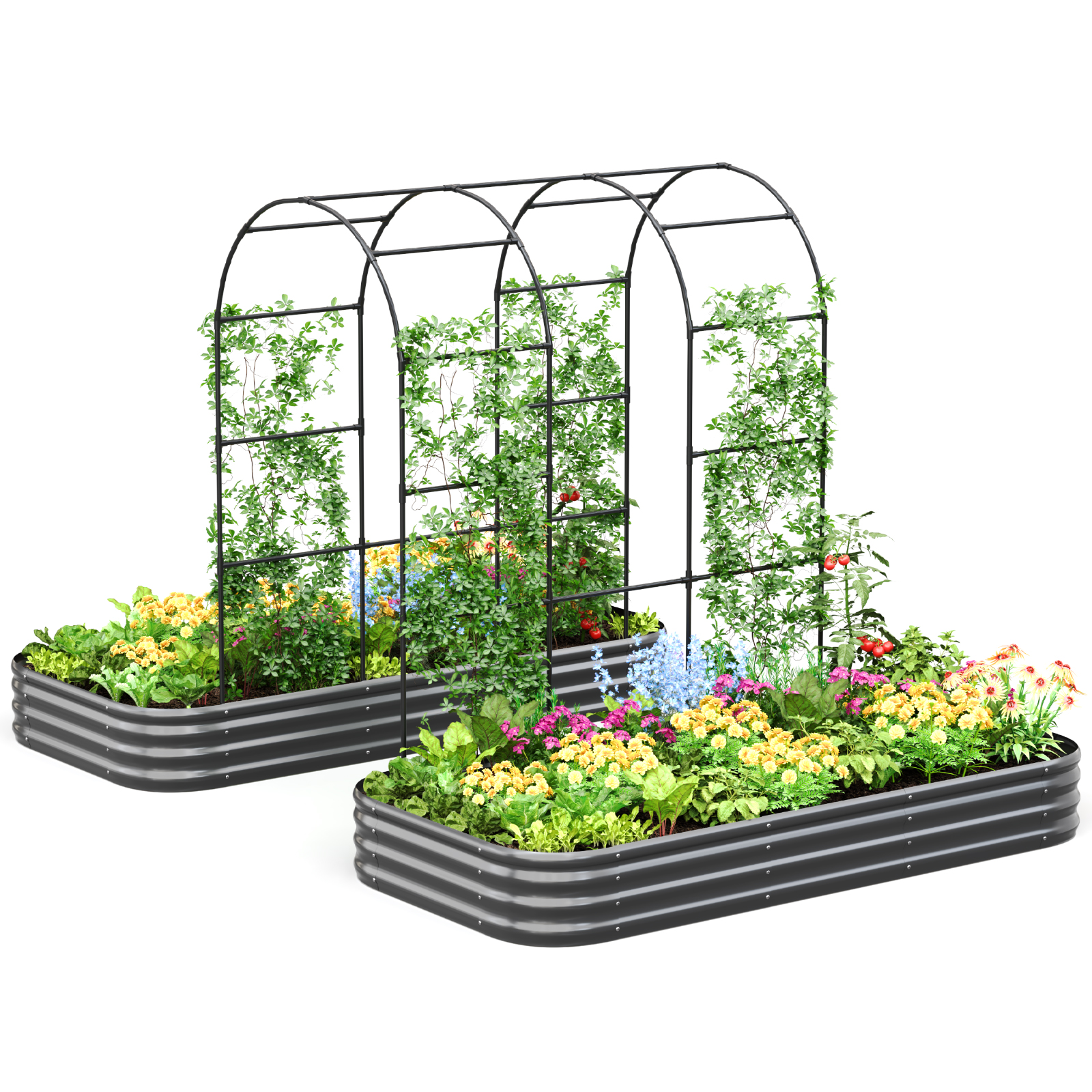 KING BIRD Raised Garden Bed with Arched Trellis Galvanized Planter Garden Box Outdoor for Gardening, Climbing Vegetables, Flowers 7.87x3.94x0.98 Ft 2PCS, Dark Grey