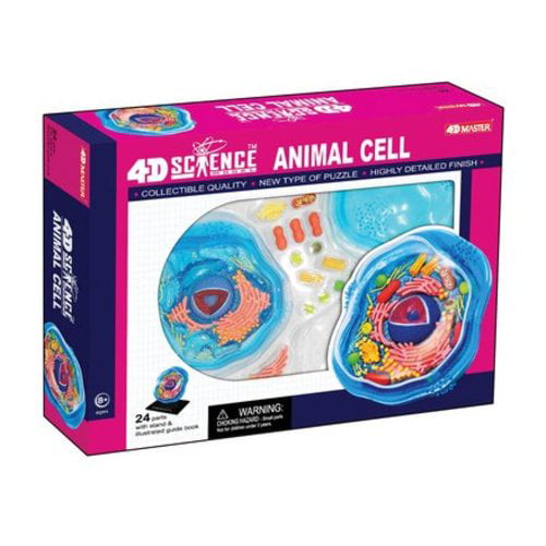 4D Science Animal Cell Anatomy Model 