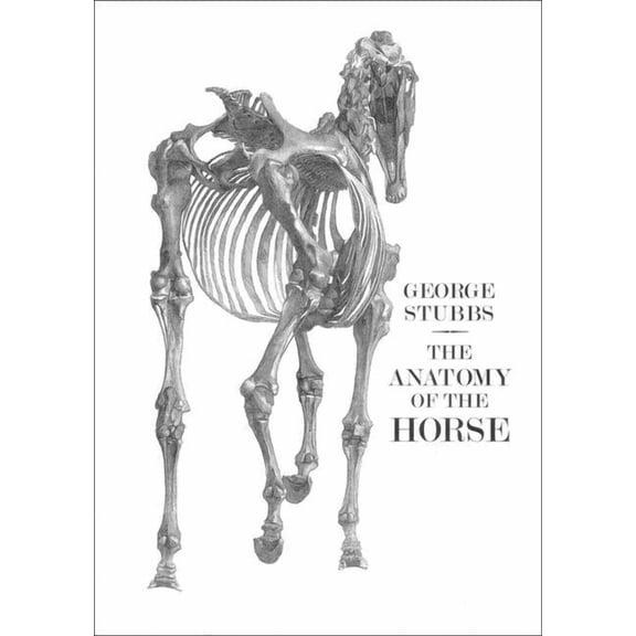 The Anatomy of the Horse, (Paperback)