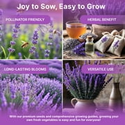 Organo Republic English Lavender Seeds 2.5 g – 2,200 Non‑GMO Heirloom Lavender Seeds – Indoor and Outdoor Herb Seed Packet for Home Garden, Aromatherapy & Pollinator Planting
