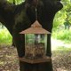 thumbnail image 5 of Twinkle Star Comedero para pájaros salvajes colgante para decoración exterior de jardín, forma hexagonal con comedero para pájaros para colgar en el techo, pájaro salvaje, 5 of 5