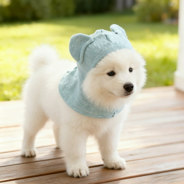 BotaniNest Calming Hood For Cats Anxiety Soft Shedding Cat Hat With Adjustable Collar For Grooming Travel Stress