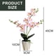 thumbnail image 2 of Flor falsa de tres puntas phalaenopsis bonsái de escritorio pequeña planta decorativa decoración flor artificial planta verde artificial, 2 of 5