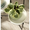 thumbnail image 6 of Kate and Laurel Finn Metal Tri-Level Plant Stand, White/Black 16x21x30, 6 of 7