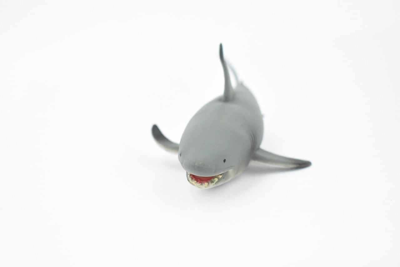 Shark, Black tip Reef Shark, Museum Quality, Rubber Liberia | Ubuy