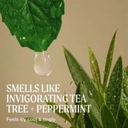Tea Tree Special Conditioner, 10.14 oz.