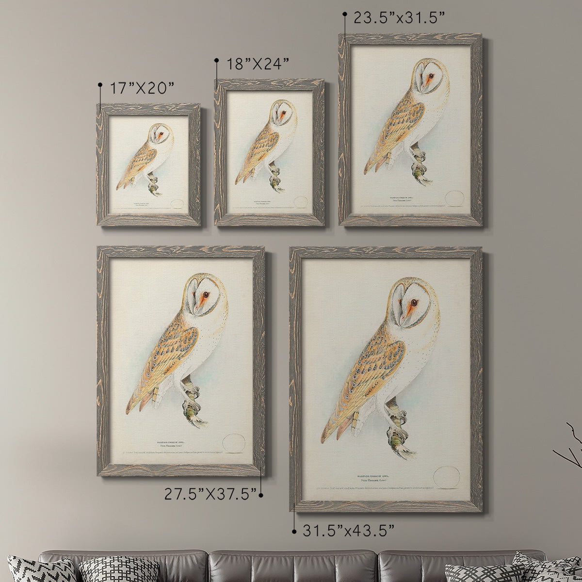 Barn Owl - Premium Framed Canvas 2 Piece Set - Ready to Hang