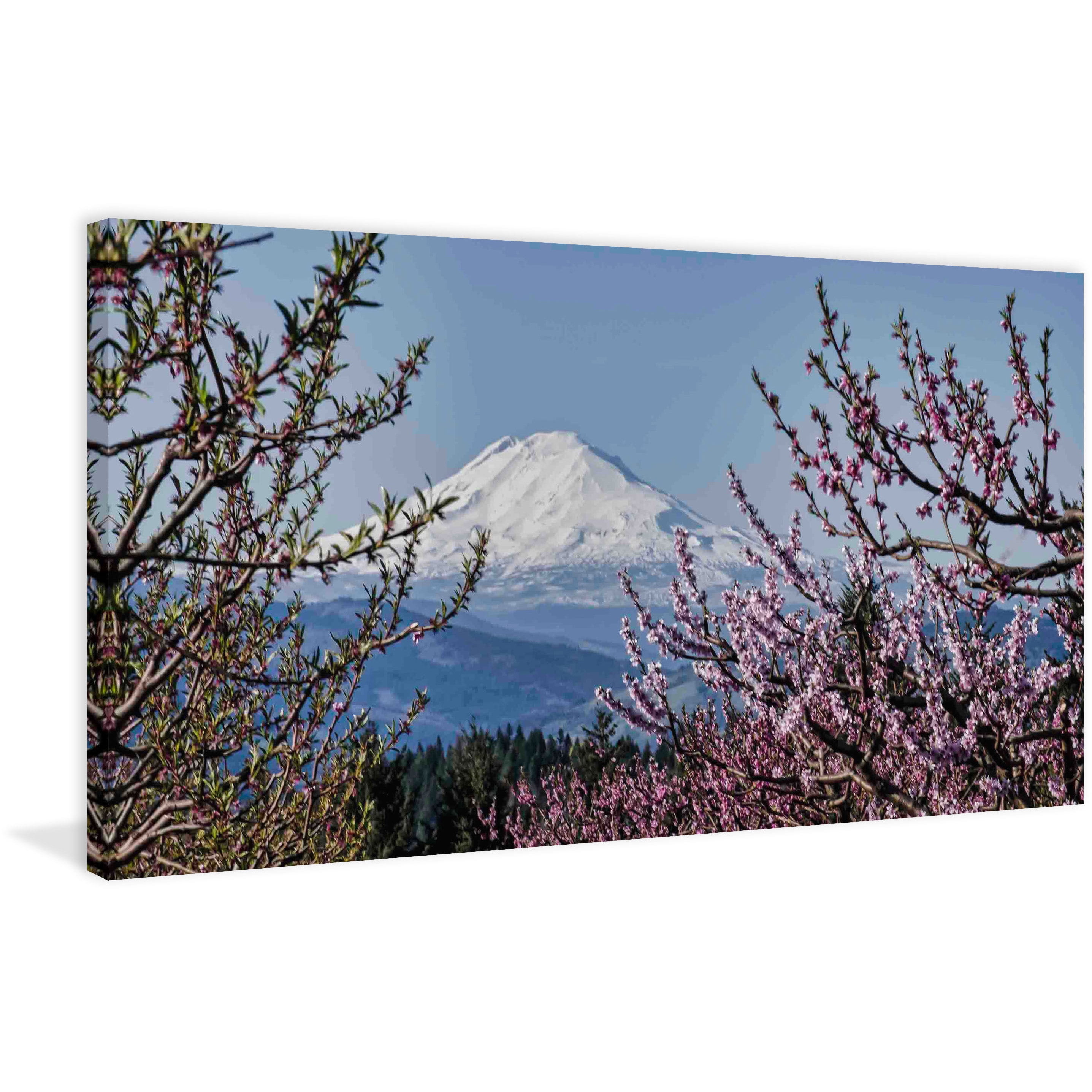Marmont Hill Inc Marmont Hill - Mt. Adams in Spring Painting Print on Canvas - Multi-color