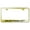 Gold, variant on Ford Mustang GT Laser Etched Logo Stainless Steel License Plate Frame (Chrome)