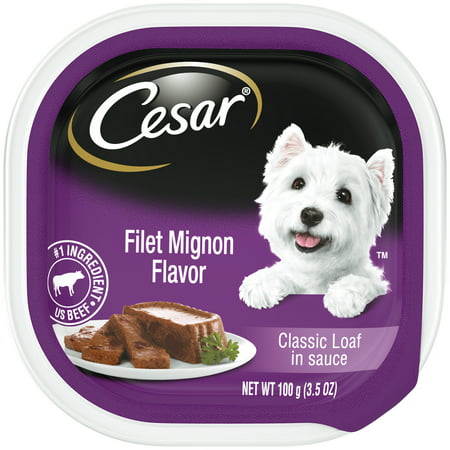 Cesar Canine Cuisine Wet Dog Food Filet Mignon Flavor, 3.5 oz. (Best Wet Dog Foods On The Market)