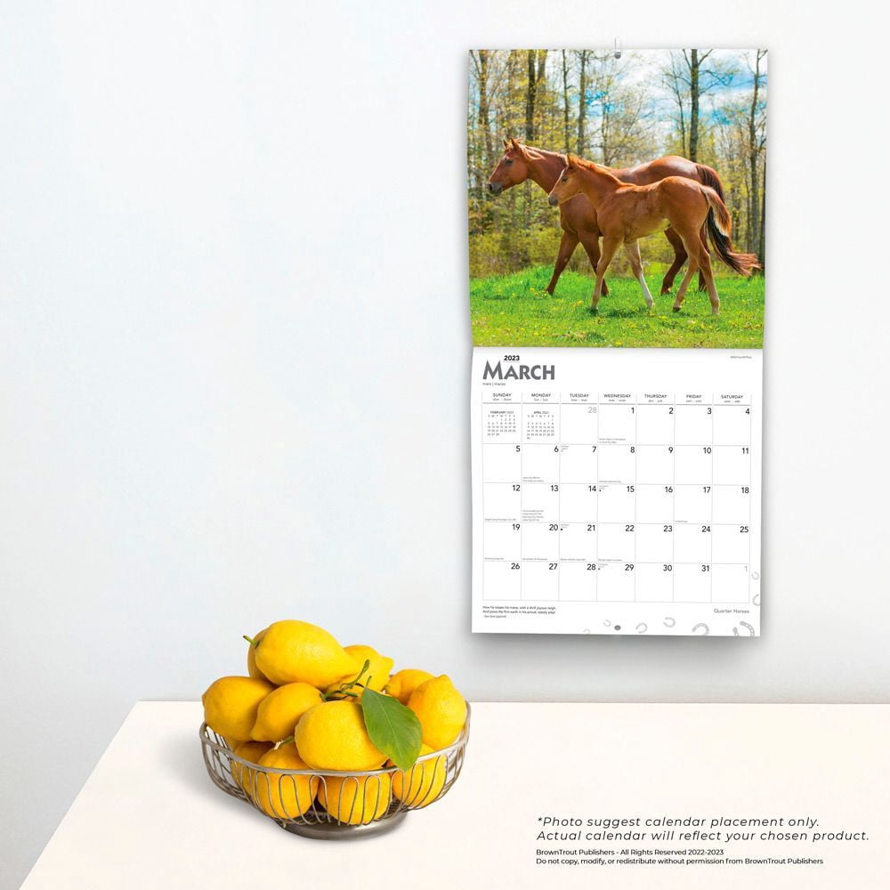 Quarter Horses | 2023 12 x 24 Inch Monthly Square Wall Calendar | BrownTrout | Animals Equestrian, 9781975449063, 1975449061, Paperback, Square Wall 12x12 edition