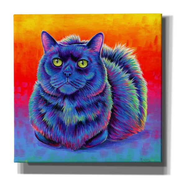 Epic Graffiti 'Fiery Rainbow Black Cat' by Rebecca Wang Art, Canvas Wall Art, 12"x12"