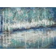 thumbnail image 2 of Tre Sorelle Studios 14x12 Black Ornate Wood Framed with Double Matting Museum Art Print Titled - Aspen Pond, 2 of 4