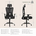 thumbnail image 3 of Silla Directiva Ergonomica TITANO Ajustable Soporte Lumbar de Malla, 3 of 7