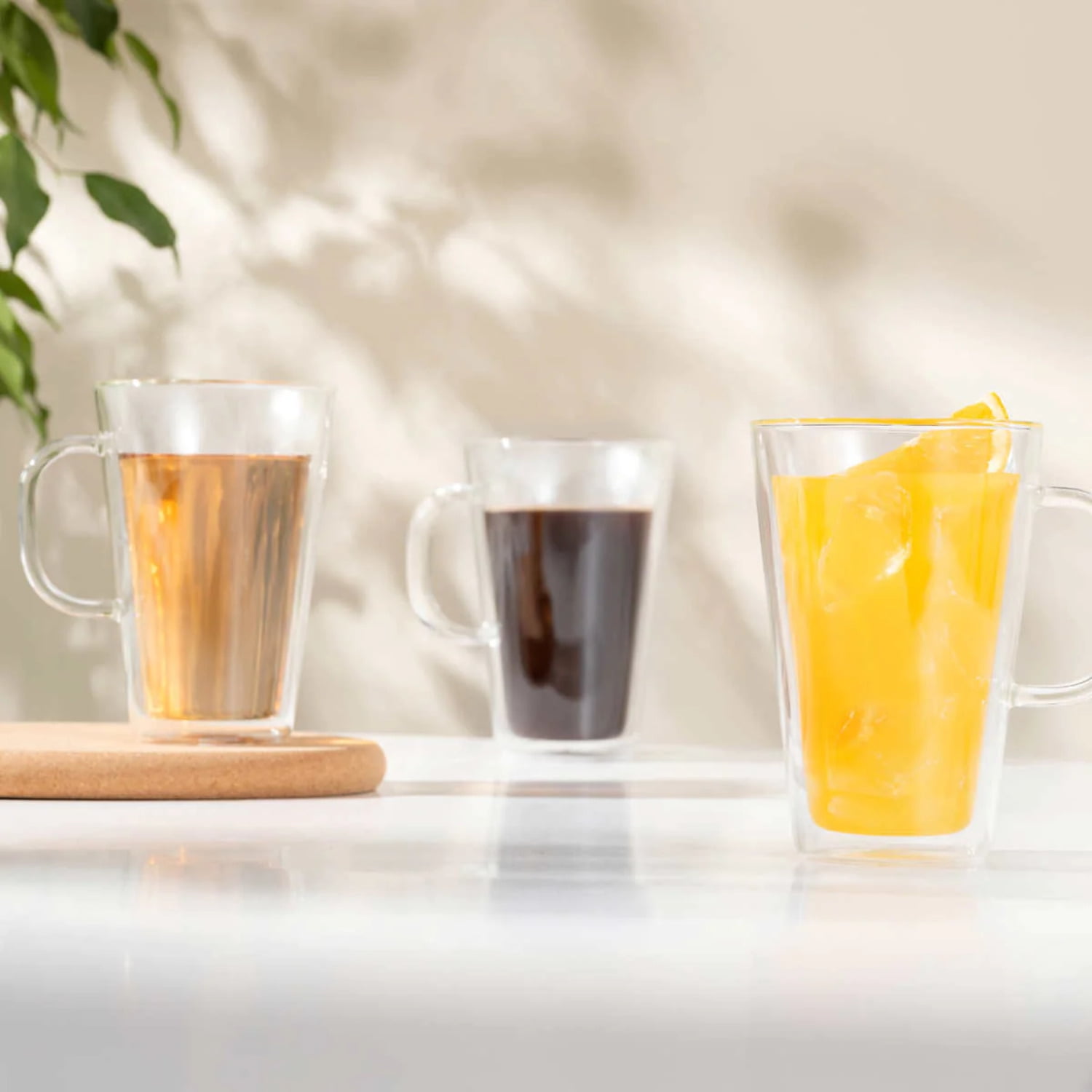 Bodum Canteen Glass Mug, Double-Wall Insulated Glass, Clear,  13.5 Ounce, (2 Glasses): Mugs: Coffee Cups & Mugs