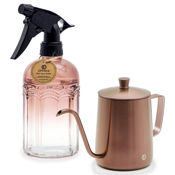 OFFIDIX Watering Can for Indoor Plants Long Spout Metal Stainless Steel 21 oz Small Watering Can with 14 oz Glass Plant Mister Spr