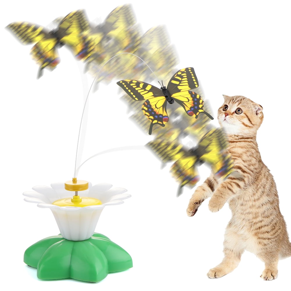cat toys for lonely cats