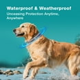 thumbnail image 6 of ZingZap Flea & Tick Collar 2-Pack Gray, Protects from Biting Insects, Adjustable Fits Both Dogs & Cats, Built-in Plant Based Formula, Slow-Release Lasting Protection, Waterproof, 6 of 7