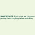 thumbnail image 3 of (3 pack) Spring Valley Vitamin B Complex Vegetarian Gummies, Strawberry Flavor, 70 Count, 3 of 12