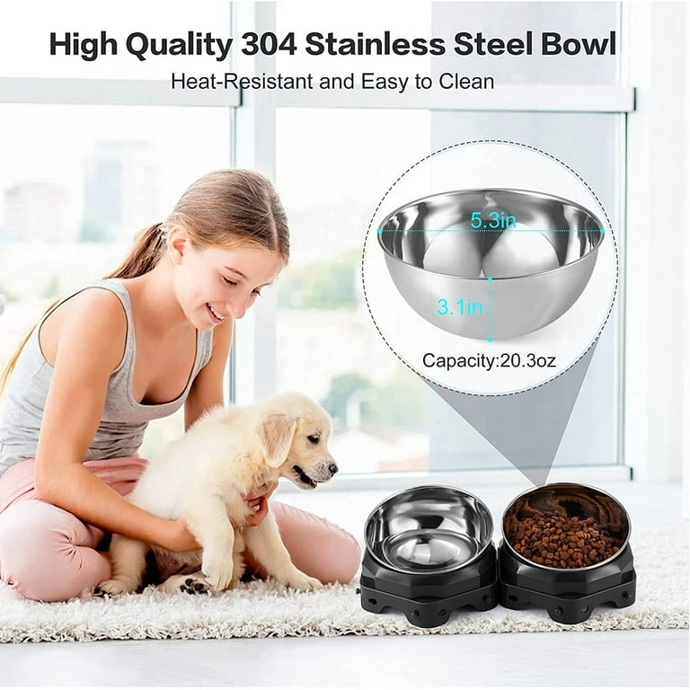 Pretty Comy Cat and Dog Elevated Bowl, Double Stainless Steel Pet Feeder  for Food or Water, 0-30° Tilted Detachable Pet Bowl Set, Tall Bowls with  Brackets,Tray Mat Puppy, Dogs, Cats Other Pets 