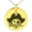 Gold, variant on Stainless Steel Buccaneer Privateer Pirate Engraved Small Medallion Circle Charm Pendant Necklace