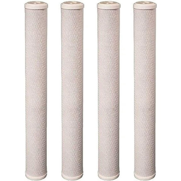 CFS COMPLETE FILTRATION SERVICES EST.2006 Compatible for EP-20 Carbon Block Filter Cartridge, 20" x 2-7/8", 5 Microns 4 Pack