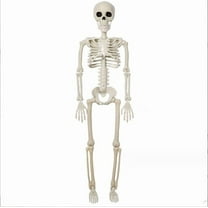Halloween Plastic Skeleton, 16" Posable Skeleton Decoration, Halloween Full Body Skeleton with Movable Joints, Realistic Pumpkin Skeletons for Halloween Haunted House Graveyard Props Decor