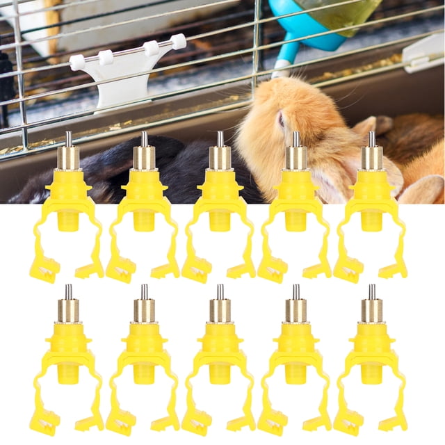 Bebederos bebederos de diseño de cierre bebedero automático de pezón para conejos Anggrek Otros