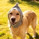 thumbnail image 5 of Gorro de invierno a prueba de viento para mascotas, capucha, calentador de orejas para perros para clima frío, correa ajustable para la barbilla, forro suave, bonito gorro cálido para paseos invernale, 5 of 6
