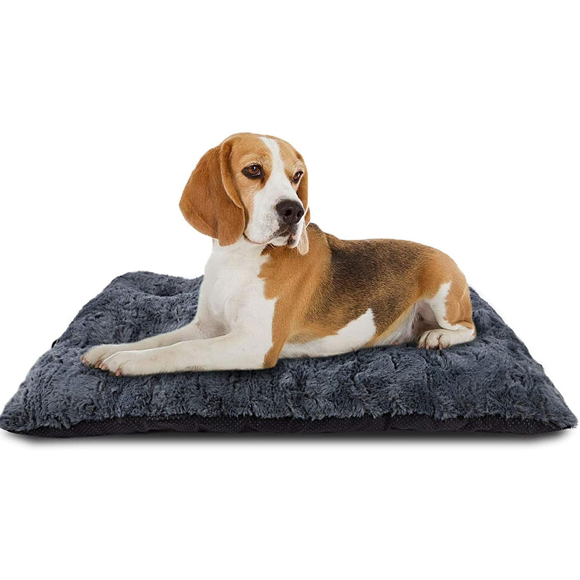 Dog bed for 42 inch crate hot sale