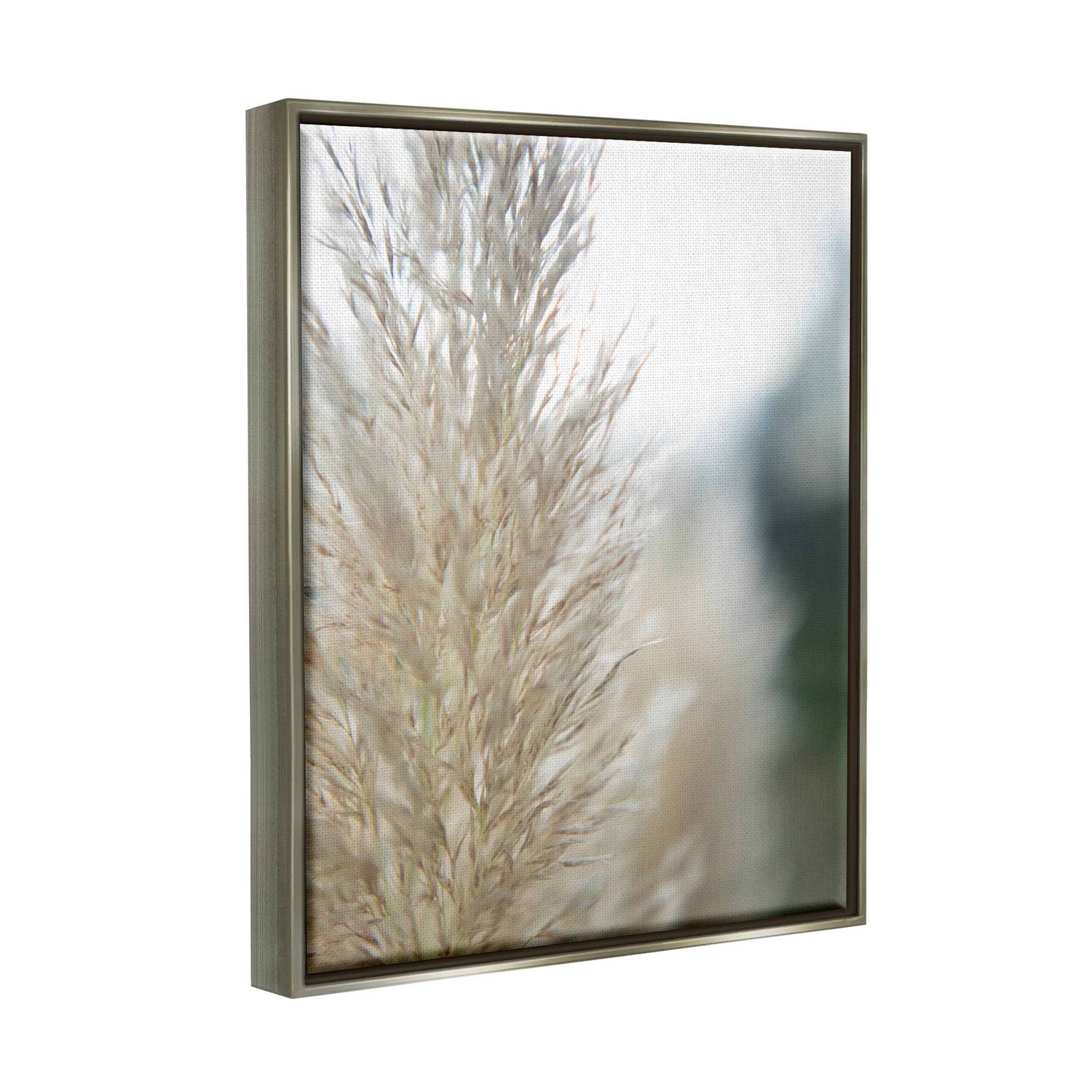 Stupell Industries Natural Pampas Grass Photography Scene Photograph Luster Gray Floating Framed Canvas Print Wall Art, Design by Jason Johnson