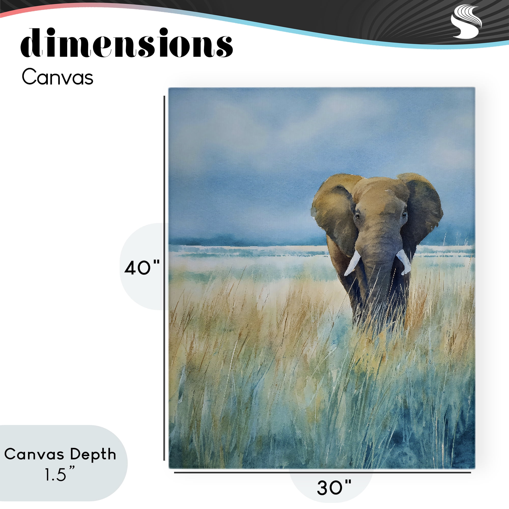 Stupell Industries Blue Grass Elephant Canvas Wall Art, design by Franklyn Gregory