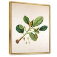 thumbnail image 3 of Designart 'Ancient London Plants I' Farmhouse Framed Canvas Wall Art Print, 3 of 5