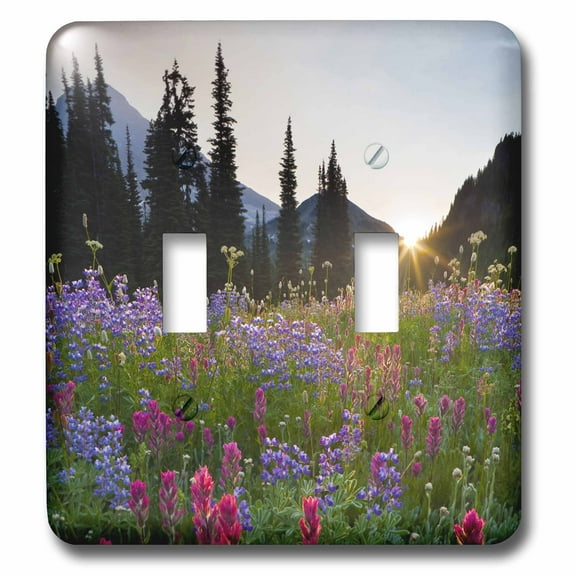 3dRose, Indian Paintbrush, Lupine, Mt. Rainier NP, Washington - US48 GLU0143 - Gary Luhm, double toggle switch