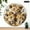10x10in, variant on Patifu Three Lion Cubs Together Round Wooden Wall Clock Silent Mechanical Movement Home Decor 10x10in